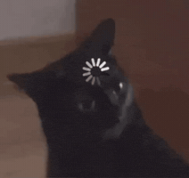 Cat Think GIF by MichaelBobinger