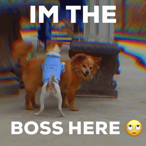 Boss Mode Love GIF by Blnde