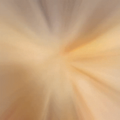 Cat GIF