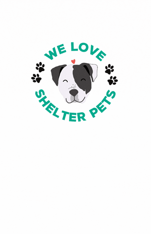 Adopt Pit Bull GIF by HeARTs Speak