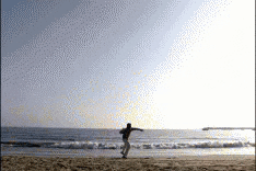 Beach GIF