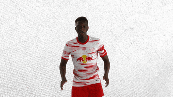 Weiter Lets Go GIF by RB Leipzig