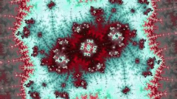 200.gif?cid=fc005b08e29f8bcf395603d7c7051efa62b3c22352d29aea&rid=200.gif&ct=g