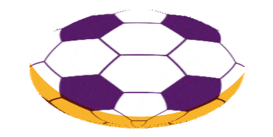 Coupe Du Monde Sport Sticker