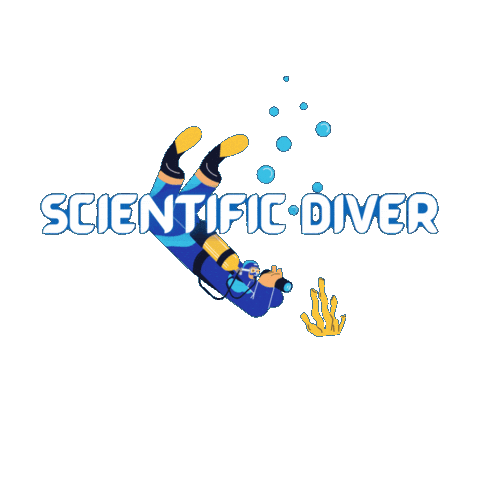 Open Water Bubbles Sticker by Blue Corner Dive Bali