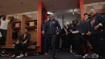 Chicago Bears Nfl GIF