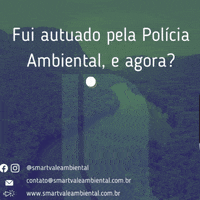 Meioambiente Consultoria Ambiental GIF by Smartvale Ambiental