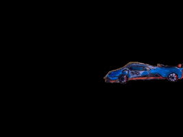 GIF by Kunstkwartier