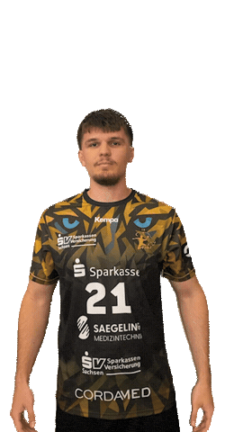 Bundesliga Handball Sticker by hcelbflorenz