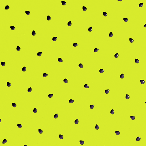 Fruit Kiwi GIF by Feliks Tomasz Konczakowski