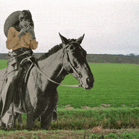 Country Downtherabbithole GIF by Dolly Warhol