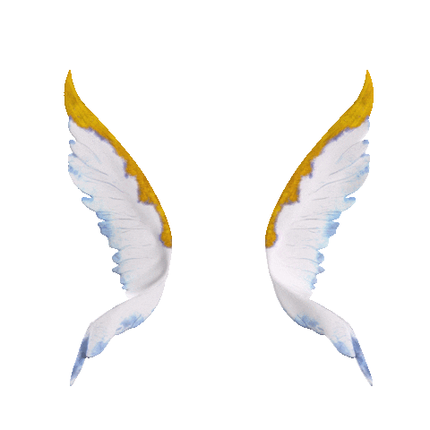 Superchillfoundation Sticker