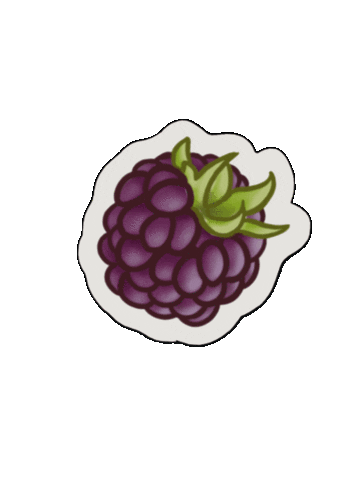 Summer Sticker