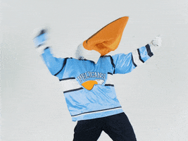 PelicansFi dance hockey mascot ice hockey GIF