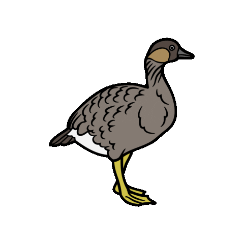 naupakastore Sticker