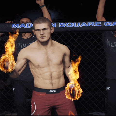 khabib nurmagomedov fight GIF by EA SPORTS UFC
