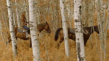 horseback riding fall GIF by Hallmark Channel