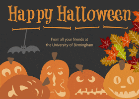 Happy Halloween GIF by University of Birmingham