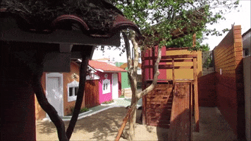 Pedagogia Florença GIF