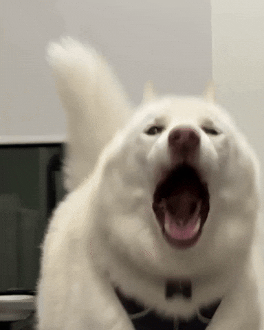 Jax GIF