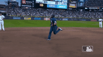 Tampa Bay Rays Sport GIF by MLB