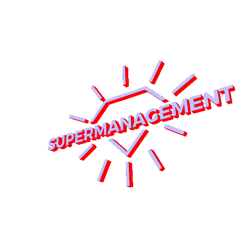Supermanagement Sticker