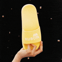 Summer Slides GIF by Kubota
