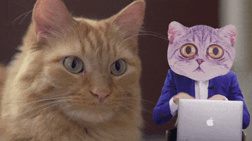 Equipe Beaudet Hypotheque GIF
