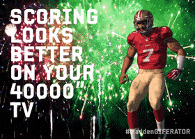 San Francisco 49Ers GIF by Madden Giferator
