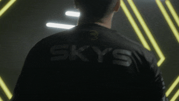 Rainbow Six Siege Sweden GIF by Spacestation Gaming