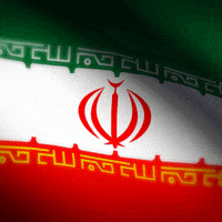 Iran Flag Logo GIF by xponentialdesign