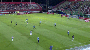 leandroalves  GIF