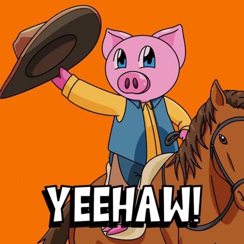 Texas Ride GIF by Piggyverse