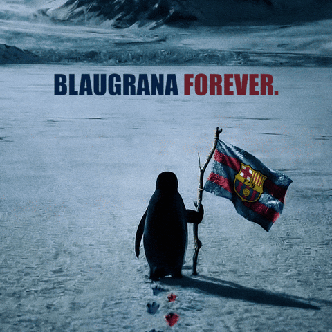 Penguin Barcelona GIF