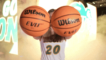 Palm Ball GIF by NDSU Athletics