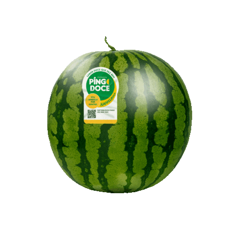 Melancia Pingo Doce Sticker