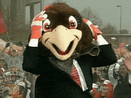 espn falcons GIF by College GameDay