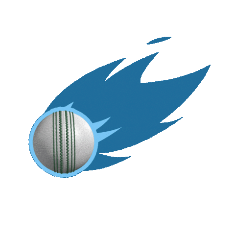 Cricket Rbl Sticker by Republic Bank