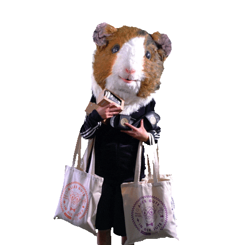 VGN Nürnberg Sticker