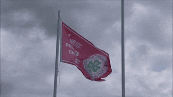 Flag Fluttering GIF by Cliftonville Football Club