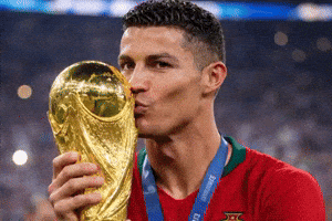 World Cup Football GIF