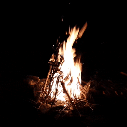 Video gif. Roaring campfire flickers consistently in the darkness.