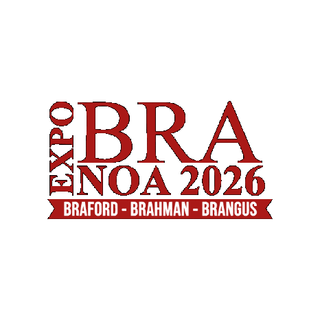 Braford Sticker by ABA