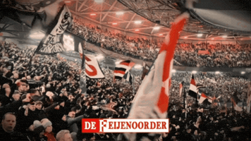 De Kuip Fan GIF by De Feijenoorder
