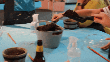PaintNite.com GIF