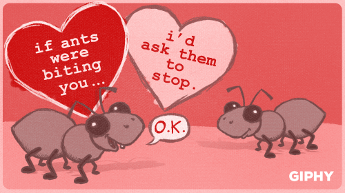 Valentines Day Art GIF by GIPHY - Find &amp; Share on GIPHY