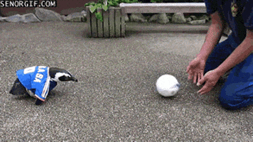 https://media2.giphy.com/media/yoJC2yYtWVHwCOTA9q/200.gif