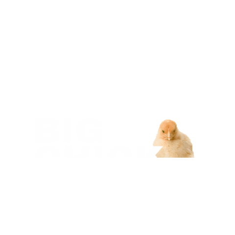 The Ultimate Creative Sticker