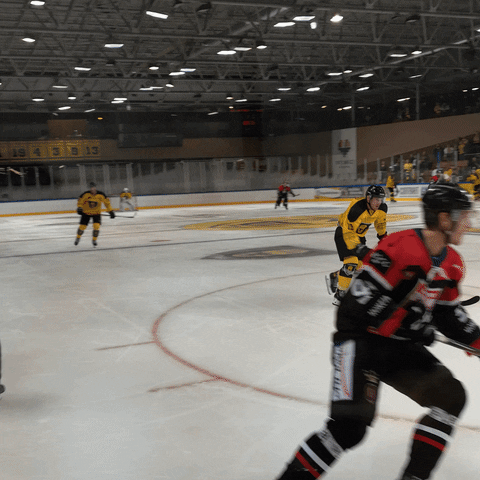 Ice Hockey Hokej GIF by GKS Katowice