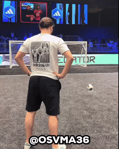 Osvma36 GIF